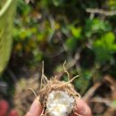 사돈농장 이미지