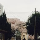 소춘삼숯불시대 이미지