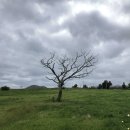 선양목장 이미지