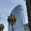 흥해라호텔 | 스페인 바르셀로나 신혼여행 5성급 호텔 추천_W호텔 오션 뷰, 조식 내돈내산 후기