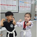 행복한태권도 네이버블로그