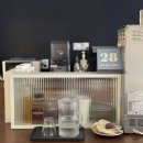 씨스앤도스 이미지