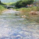 청솔민박 이미지