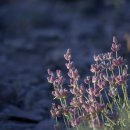 여행(Travel) 이미지