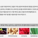 미카네일 - 서구 | 미카네일