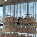 서영렌탈 | 인천 레하드레스 조카 남아 화동 수트 대여 계약 후기