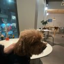 [숙대입구역 맛집] 분위기 좋은 와인바 슬로우파머스후기, 예약(내돈내산)