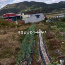 배들가축 이미지