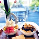 아라동빙수 드니커피 요거트빙수맛집 플랜테리어 제주 동쪽 카페
