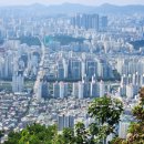신동아공인중개사사무소 | 2025년 5월 서울 관악구, 금천구, 노원구, 도봉구 아파트 매매가 약 5억원 전후 매물 정보
