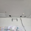 왕버들로 이미지