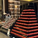 더라운지앤드바 | 2026 딸기뷔페 롯데호텔부산 더라운지 앤 바 솔직후기