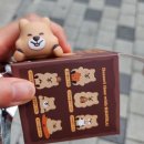 [용인/처인구] 문구류 뿐만 아니라 소장템도 가득한 무인 문구점 &#39;문구방구&#39; 꽃카 랜덤깡 후기