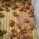 키다리농장 이미지