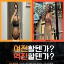 모티브 PT 이미지