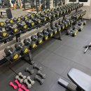 머슬컴퍼니 이미지