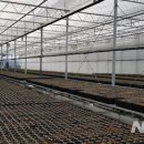 춘양양묘사업소 이미지