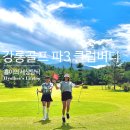 클럽버디 파3연습장