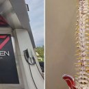 황새울로132번길 이미지