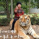 2181 이미지