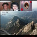 신도초교 이미지