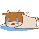 대광식당 이미지