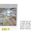 예향공방카페 네이버블로그
