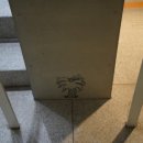 Stay Mellow 이미지