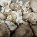 하진이네 | 하진이네 표고버섯 후기 🍄 국내산 무농약 산지직송 생표고버섯 추천