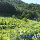 여름농장 이미지