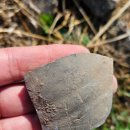 금성수지 이미지