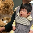 유일세탁 | 이케아 인형 후기 및 세탁 시 주의사항