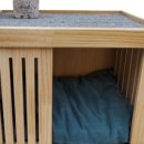 더노아하우스 이미지