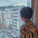 시온여행사주