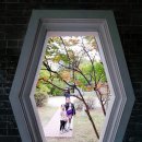 수원천로 397~경수대로 769 | 수원 나들이 : 아이와 월화원에 가요!