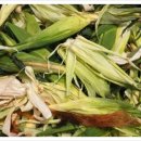 싱크퓨어 이미지