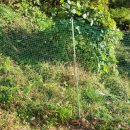 백봉파이프 이미지