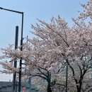 경기도 수원시 장안구 경수대로1081번길 이미지