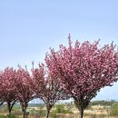 우산천변길 이미지