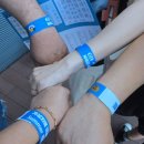 우리단비랑 | 고양이 소파 후기 :: 단비펫 소파 장단점