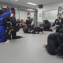 일산체육관 | 일산 주짓수 초보자가 추천하는 보물같은 체육관