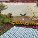 남애리458스테이 이미지