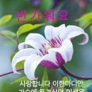 빵긋 이미지
