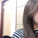 트리트멍트 | 트린트먼트 추천 모링가 헤어트린트먼트로 머릿결 좋아지는 방법