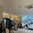 에이바디스튜디오