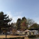 버스정류장 : 나무와학교앞 | 강화캠핑파크 감성카라반 늦가을 글램핑 내돈내산 후기