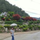 배나무골펜션 이미지