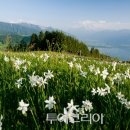 유럽산책 이미지