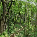 무악정 화장실 이미지