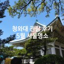 새서울태권도 | 서울명소 갈곳 청와대 개방 예약 관람 신청 코스 후기 삼청동 눈나무집